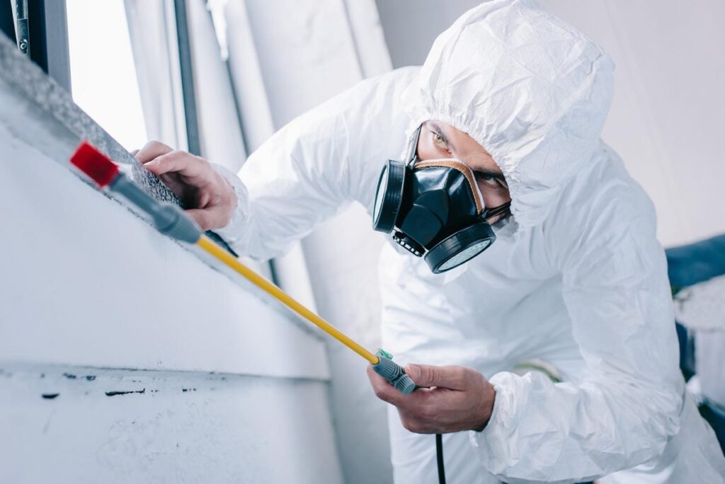 Professional Pest Control Services in Sydney: What to Expect