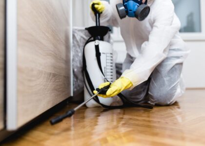 Professional Pest Control Services in Sydney: What to Expect